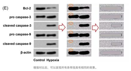 觸目驚心的“論文工廠” 計(jì)算機(jī)軟件開(kāi)發(fā)領(lǐng)域的信任危機(jī)與技術(shù)外包路徑依賴 |
